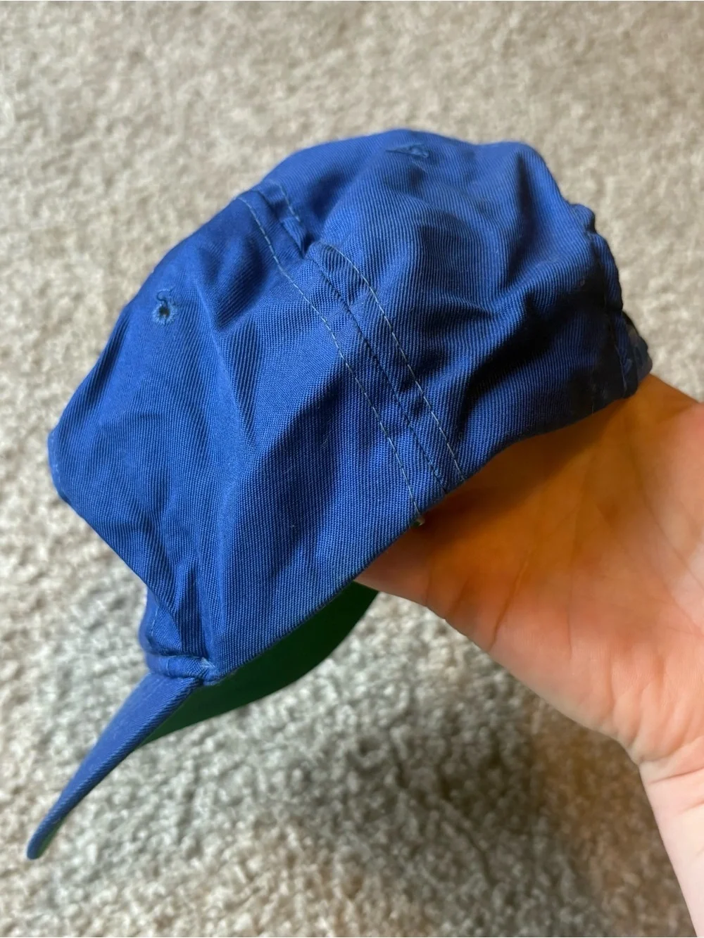 Vintage Detroit Lions SnapBack Hat NFL 90s Blue Football